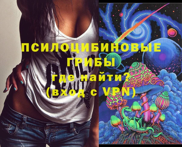 ECSTASY Белокуриха