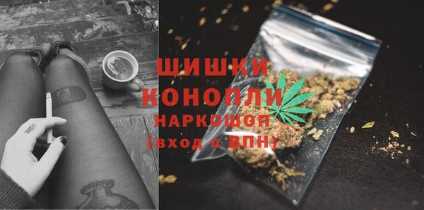 ECSTASY Белокуриха