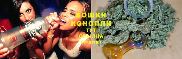 ECSTASY Белокуриха