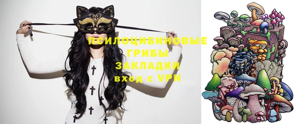 ECSTASY Белокуриха