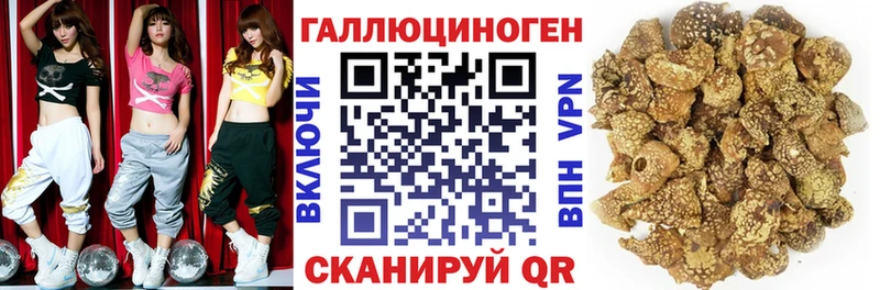 Псилоцибиновые грибы MAGIC MUSHROOMS Цивильск